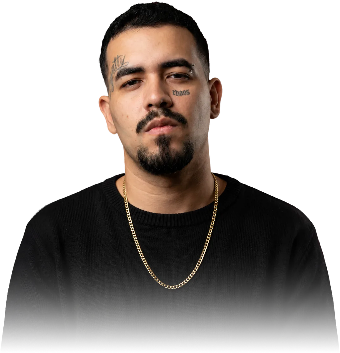 Thiago Carneiro, Web Designer